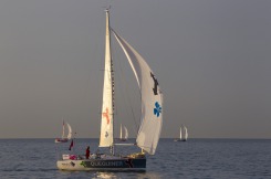 Les Figaros lors de la 1ere etape de la Solitaire du Figaro Eric Bompard Cachemire 2014 entre Deauville et Plymouth - le 09/06/2